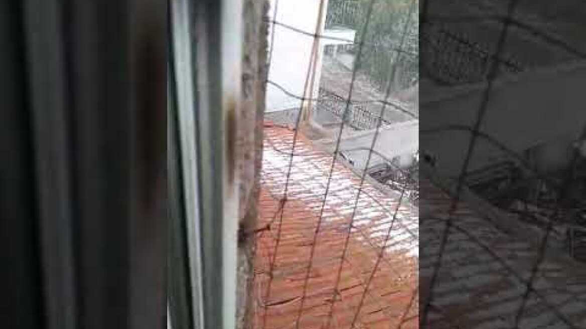 Μεταξάς Σερβίων Χαλαζι