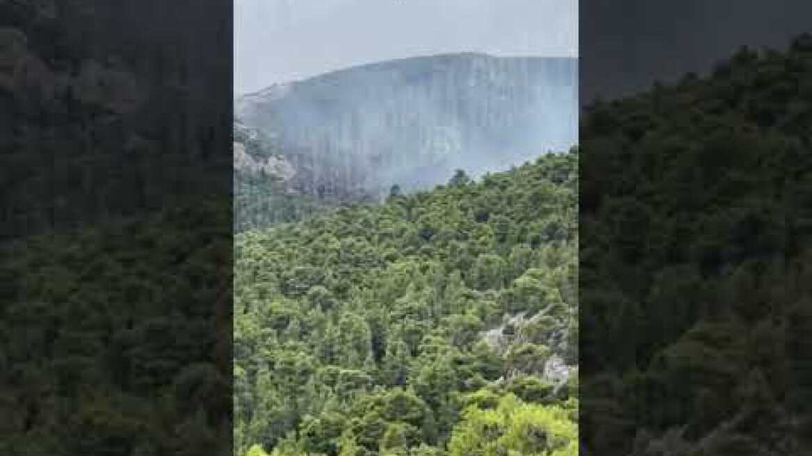 Ρίψη από ελικόπτερο στη φωτιά στη Πάρνηθα