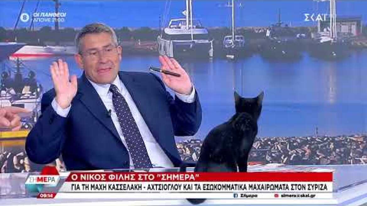 Γάτα «εισβάλει» στο στούντιο του Σκάι