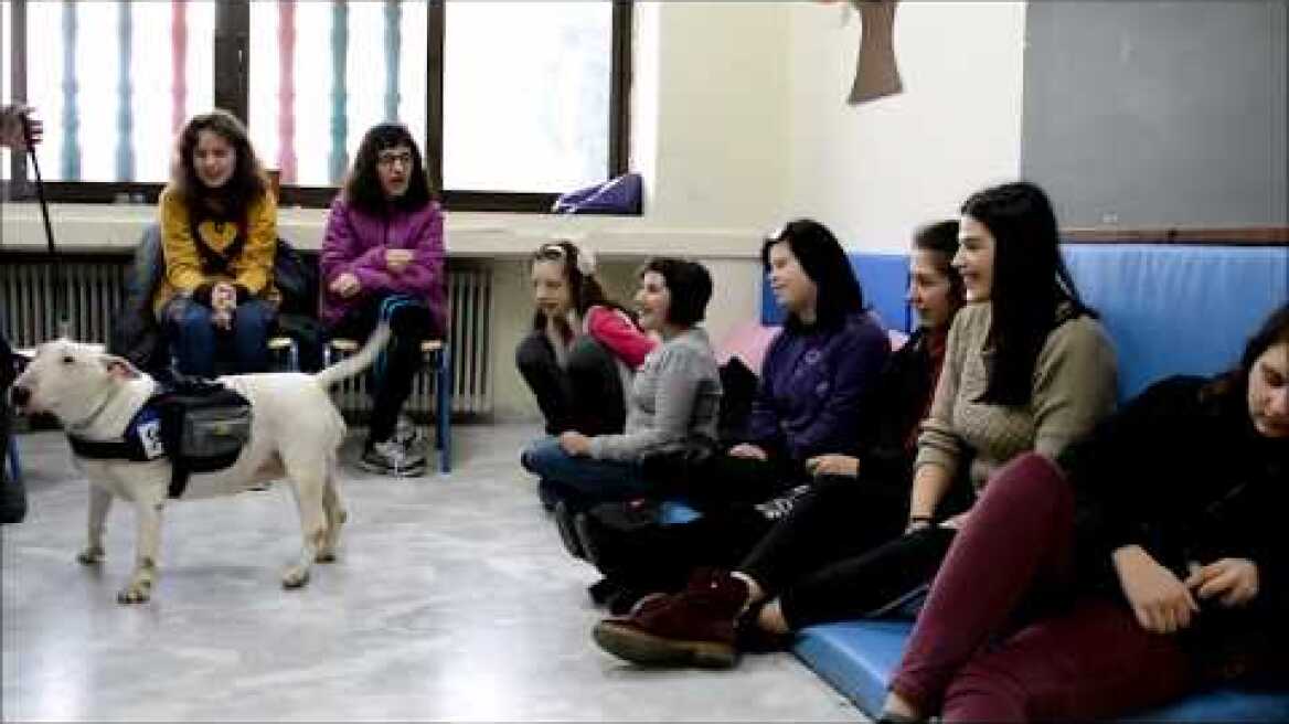 ΠΑΙ.ΖΩ  - Θεραπεία με τη Βοήθεια Ζώων , 1ο μέρος !