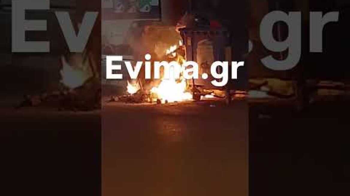 Εύβοια: Έβαλαν φωτιά σε κάδο και έκαψαν ζώα