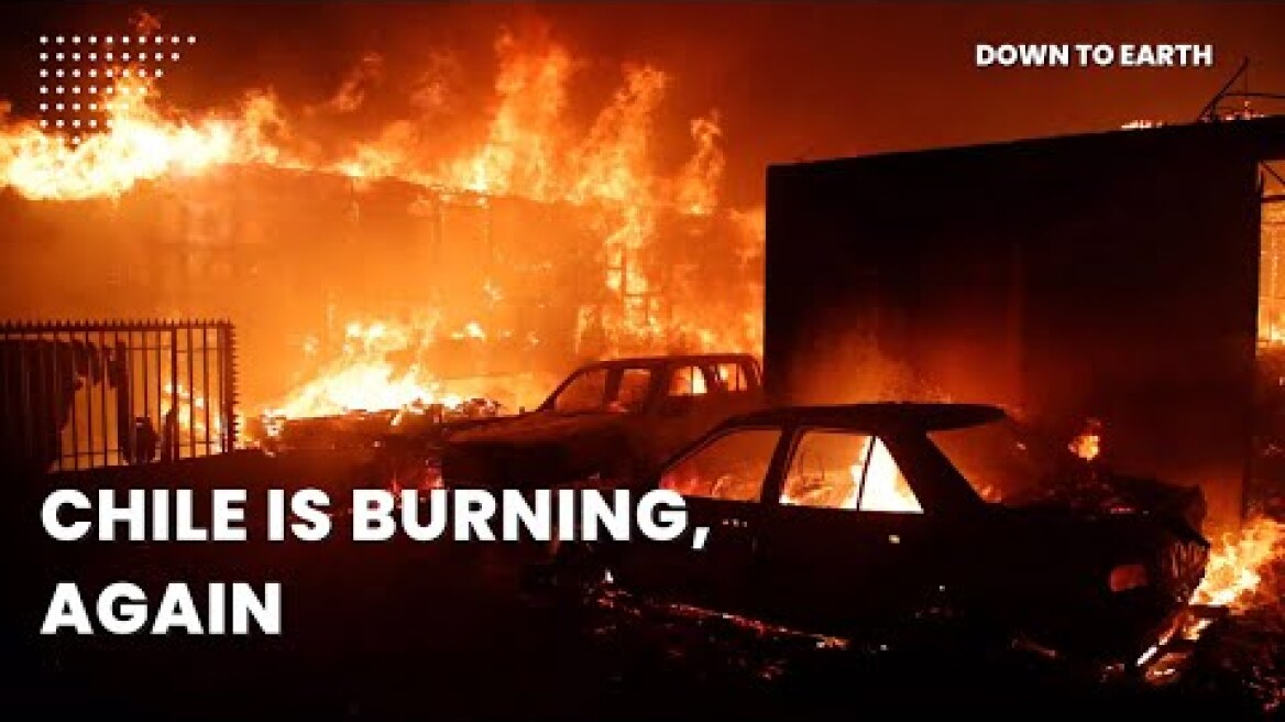 Chile forest fires: Why does Chile face deadly forest fires every year?