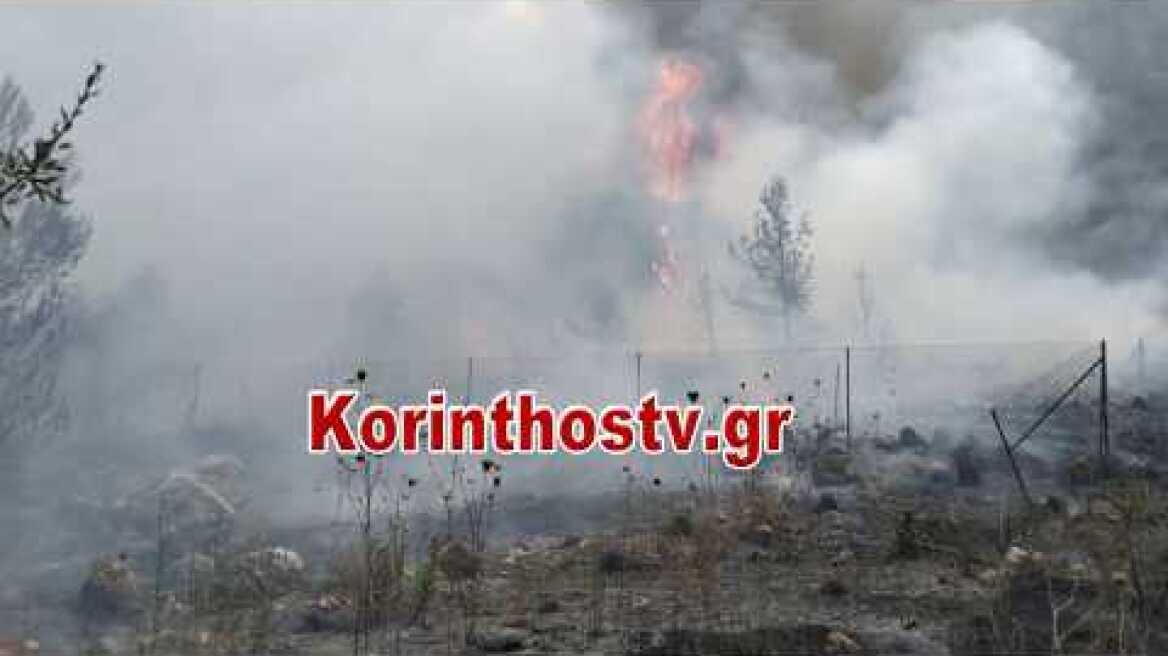 Φωτιά Κεχριές: Κοντά στο στρατόπεδο η φωτιά