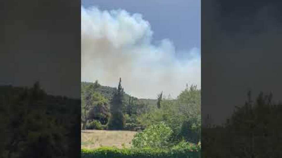 Φωτιά στην Σταμάτα