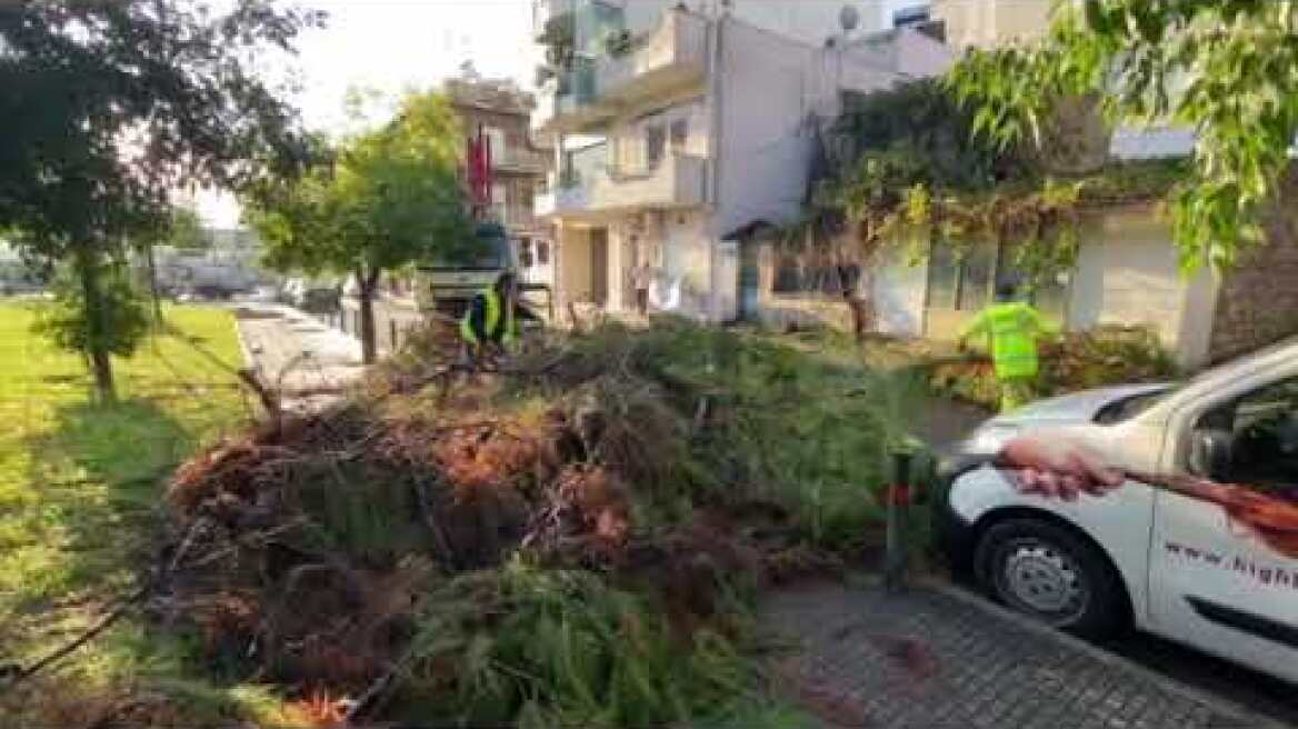 Κακοκαιρία Μπάλλος: Πτώση δέντρου στο Περιστέρι