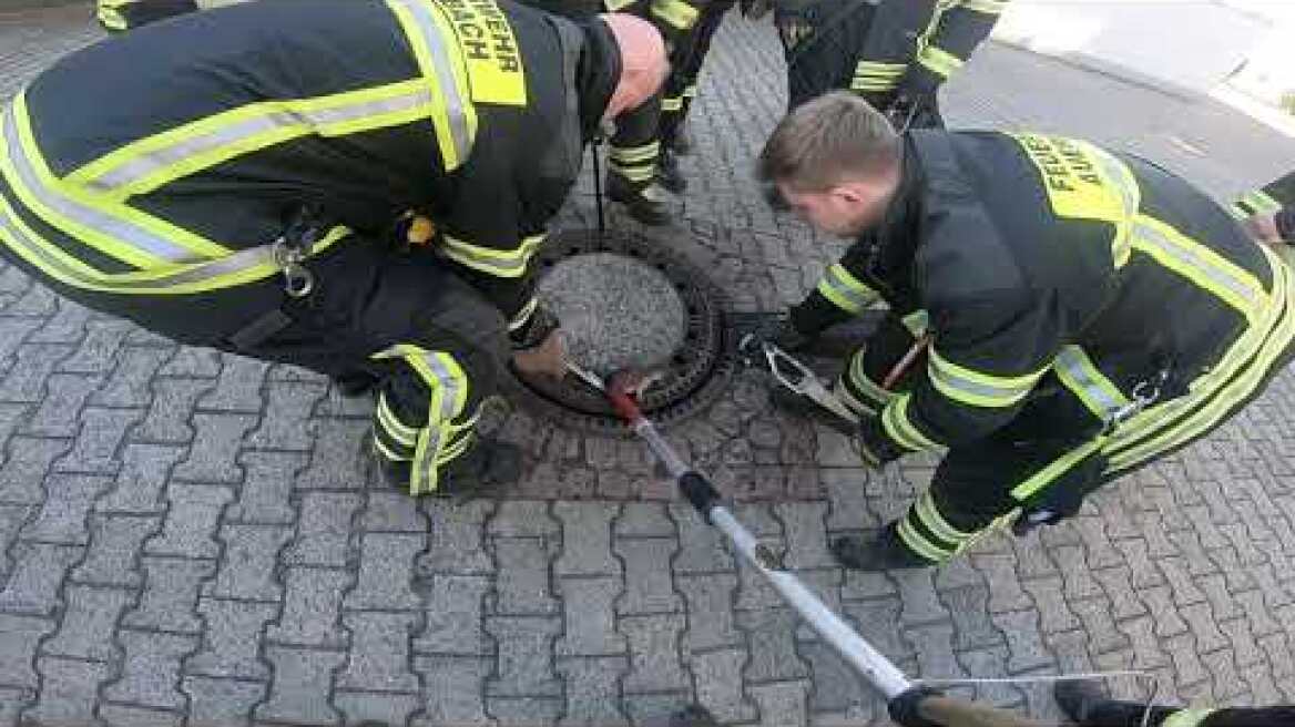 Η διάσωση του χοντρούλη αρουραίου έγινε viral