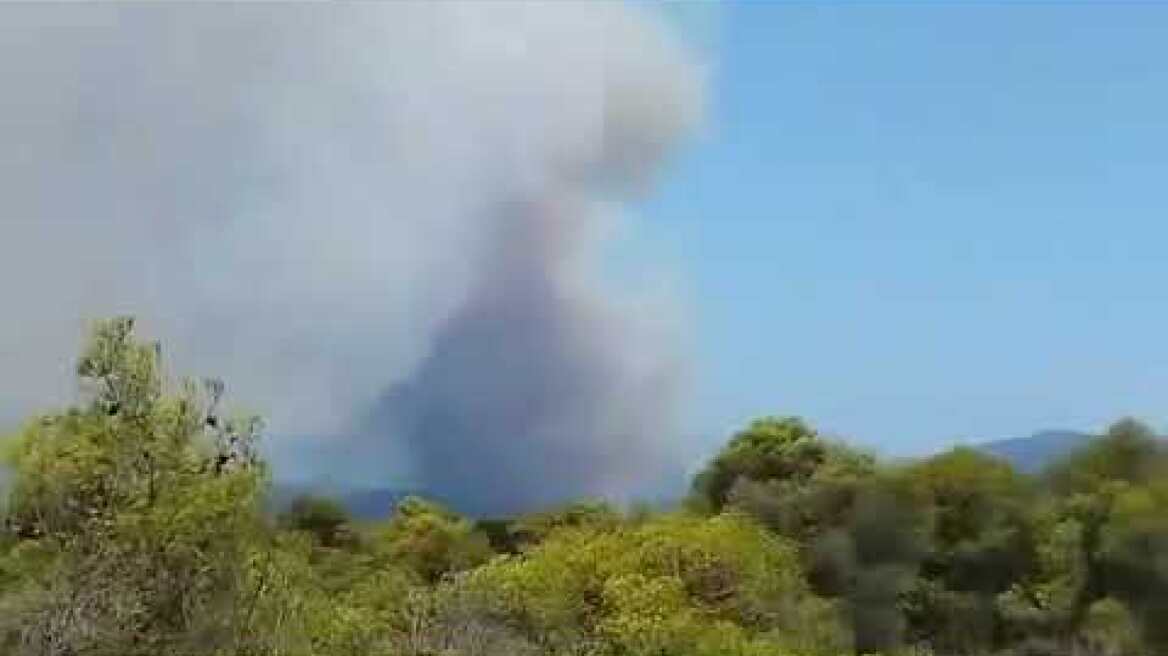 Φωτιά στη Φυλή: Από το όρος Ζαχαρίτσα στο Πυροφυλάκιο Πετρούπολης