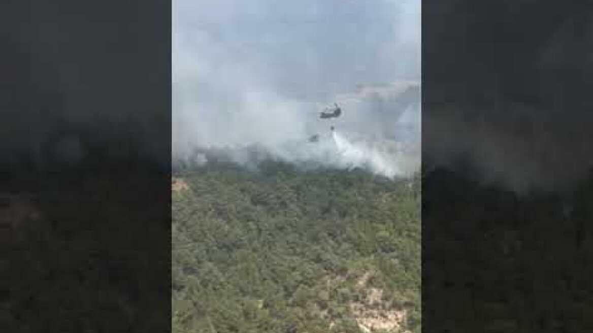 πυρκαγιά στη Δαδιά Σουφλίου Έβρου (2)