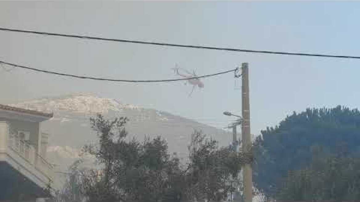 Φωτιά στην Φυλή (4)