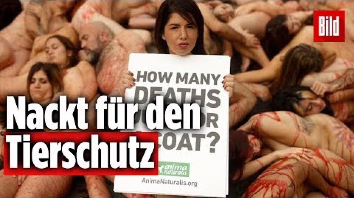 Demonstration in Barcelona gegen die Pelz- und Lederindustrie