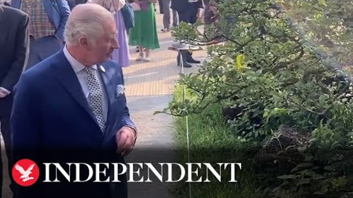 King Charles enjoys walk around Chelsea Flower Show