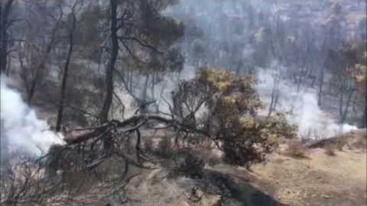 Οδοιπορικό στα καμένα στην Εύβοια