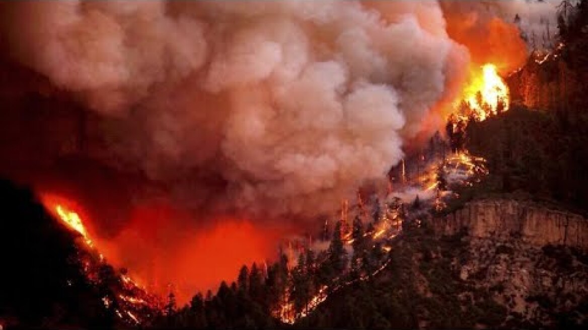 Temperature record 49,6°C in Canada! Evacuation of Lytton! Forest fires in British Columbia!