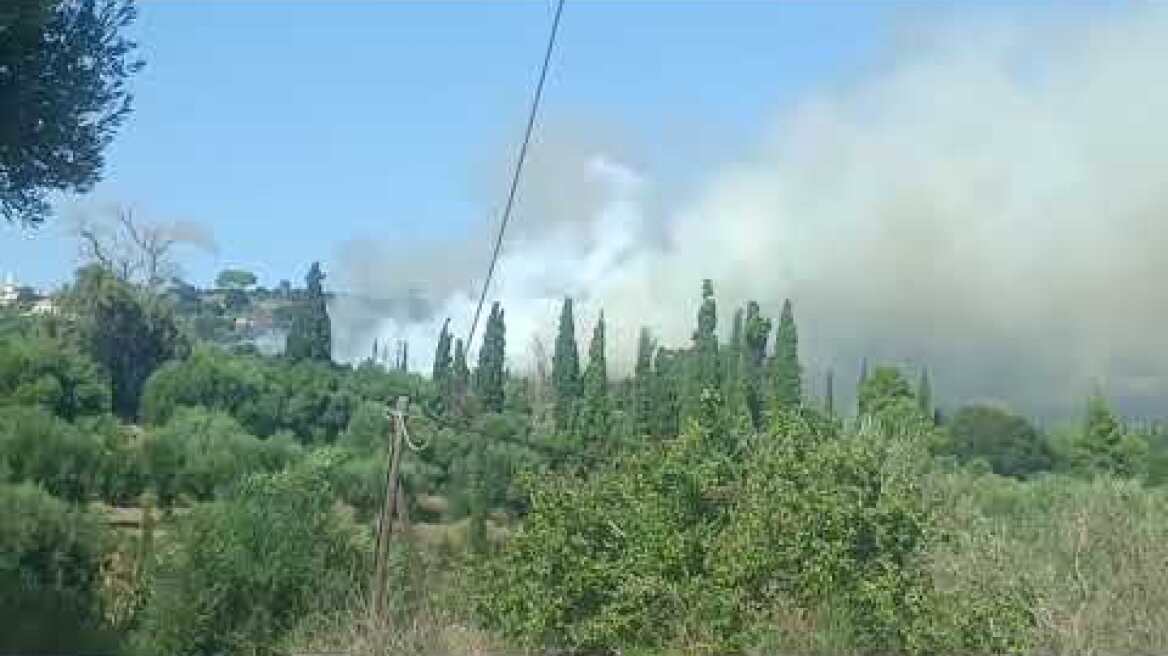 Φωτιά στην Καλλιγάτα