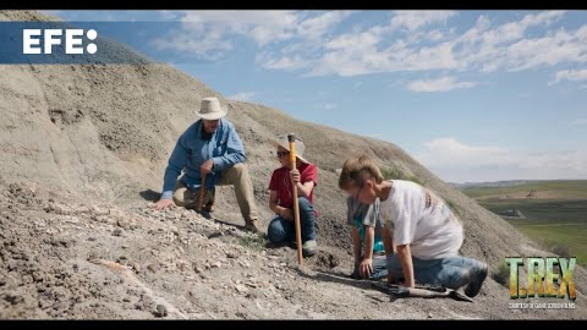 El descubrimiento de un T-Rex adolescente puede revelar por qué era el rey de los dinosaurios