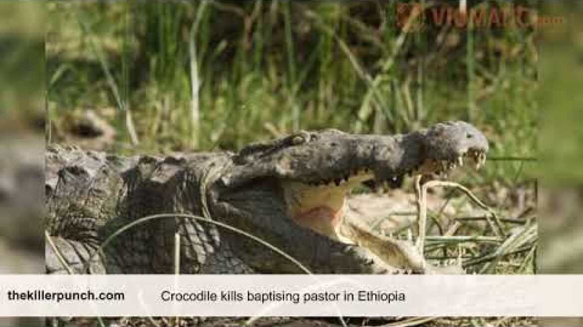 Video: Crocodile kills baptising pastor in Ethiopia