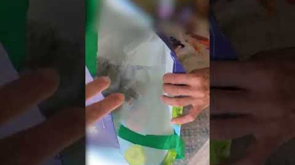 Συνελήφθη 66χρονη αλλοδαπή για διακίνηση ναρκωτικών ουσιών πέριξ σχολικών δομών στα Κάτω Πατήσια