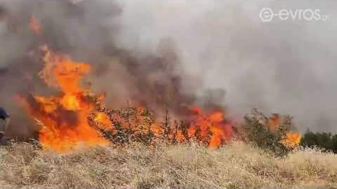 (16:05) Μεγάλη αναζωπύρωση στα Κοίλα!