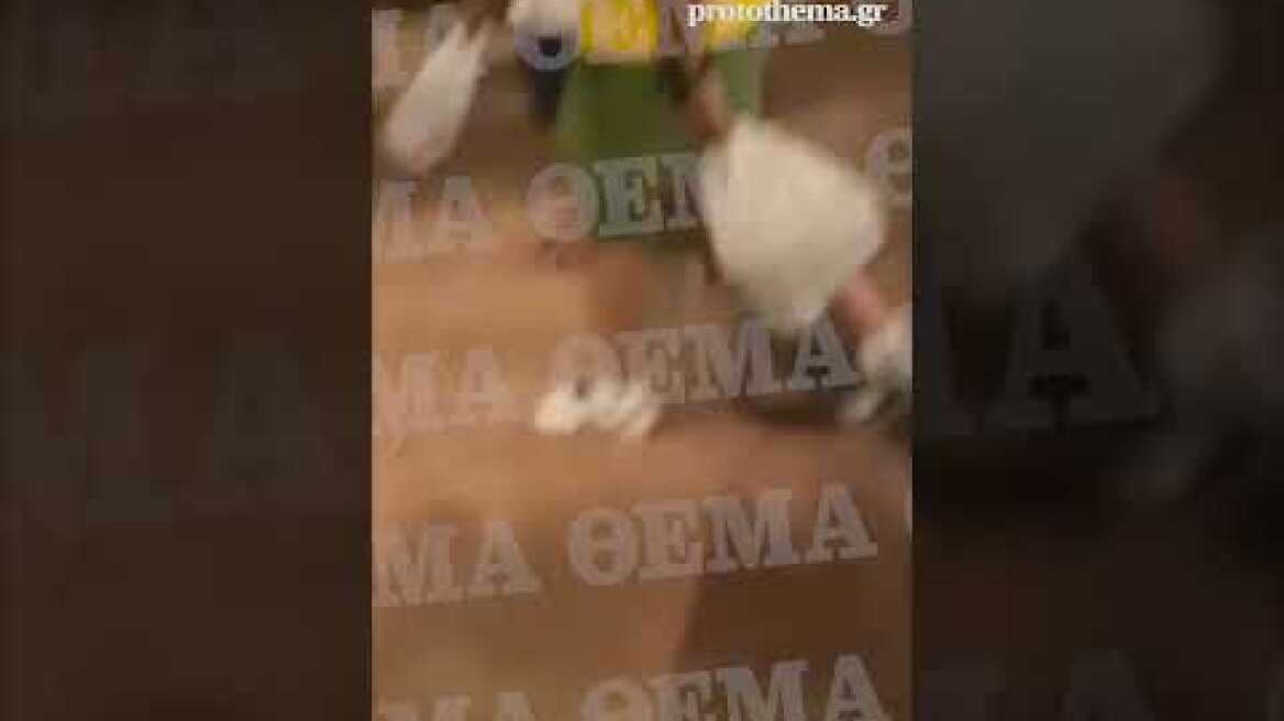 Φάρμακα-γιατροί (6)