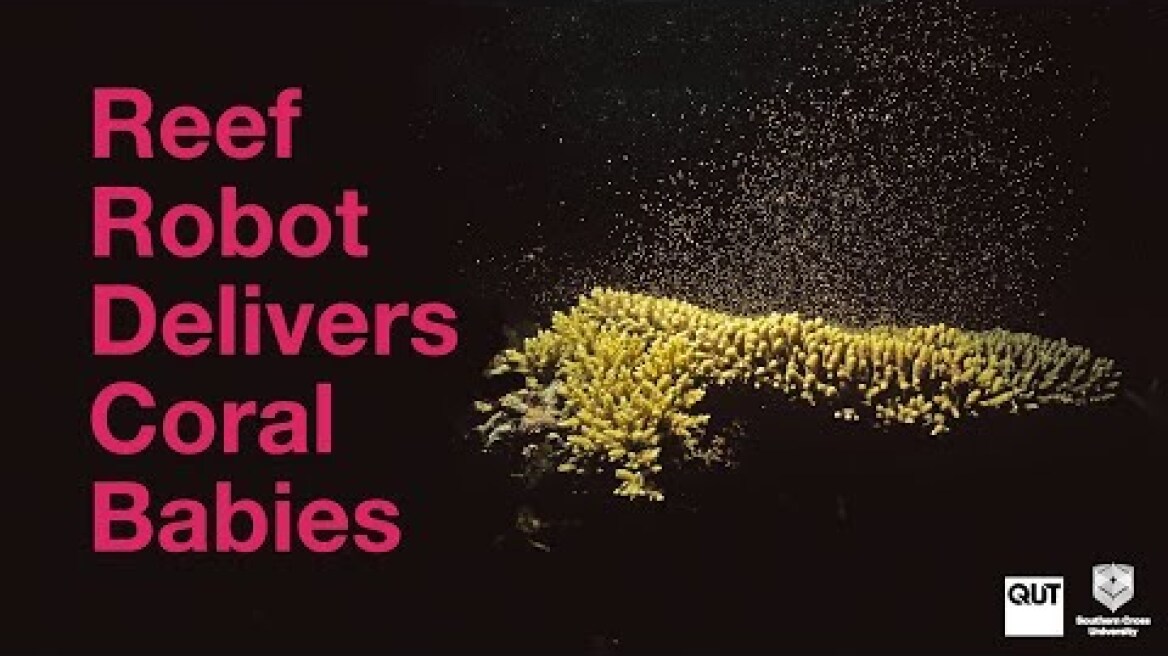 Reef Rangerbot becomes 'LarvalBot' to spread coral babies