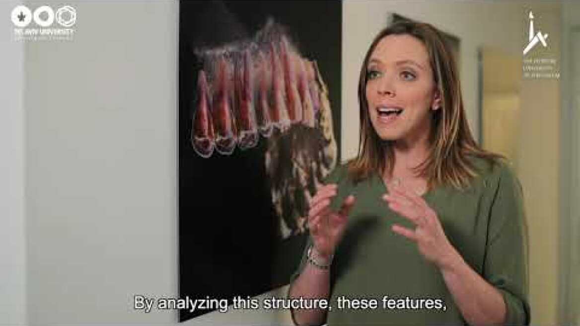 Dramatic discovery in Israeli excavation: A new type of Homo unknown to science