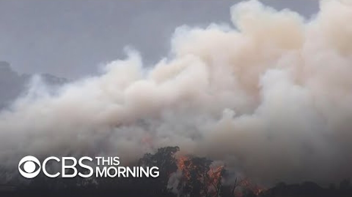 Rain brings some relief in Australia as fires take toll