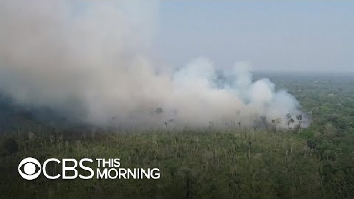 Brazilian forces will deploy to fight Amazon fires