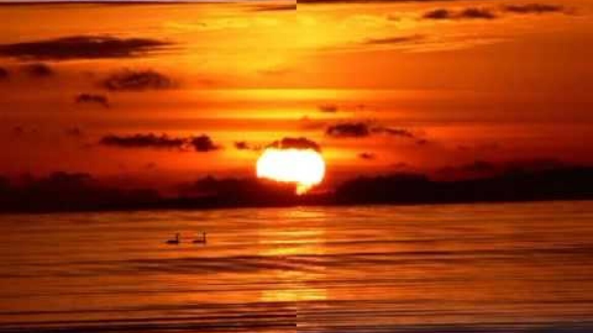 The Vikings - Francoise