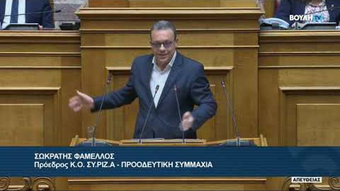 O Σ. Φάμελλος στην Ολομέλεια για το νσχ για τα Ιδιωτικά ΑΕΙ_080324