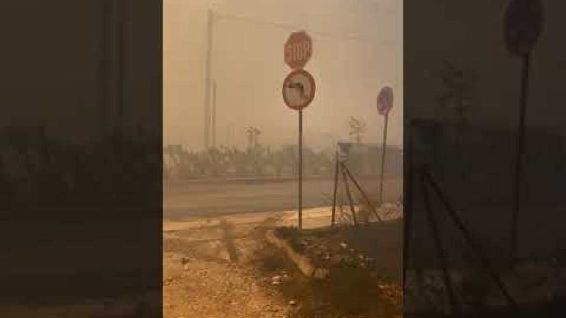 Φωτιά στα Βριλήσσια (1)