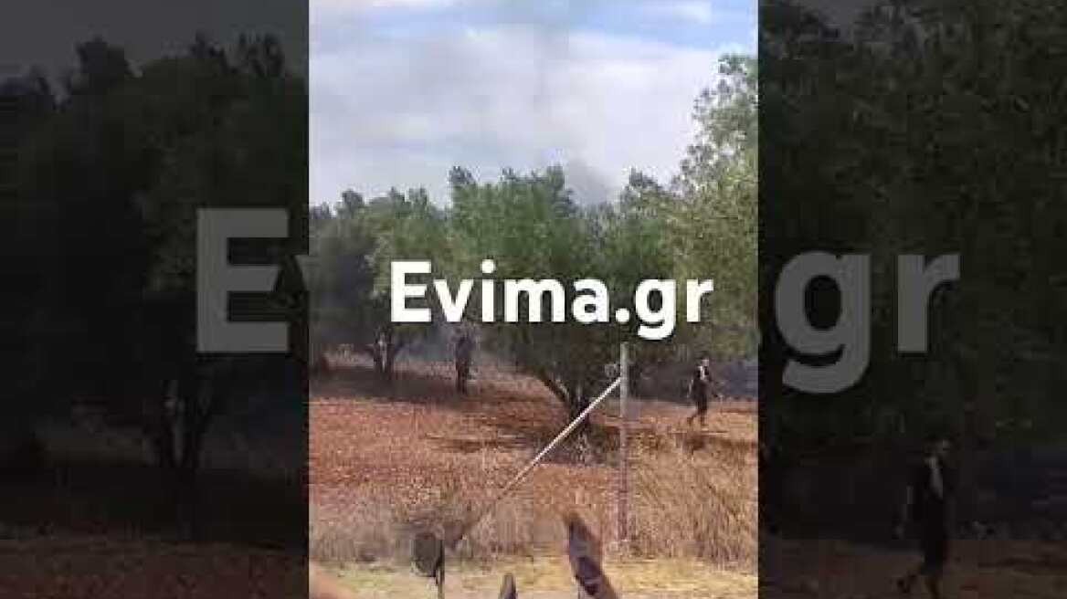 Φωτιά τώρα στην Εύβοια