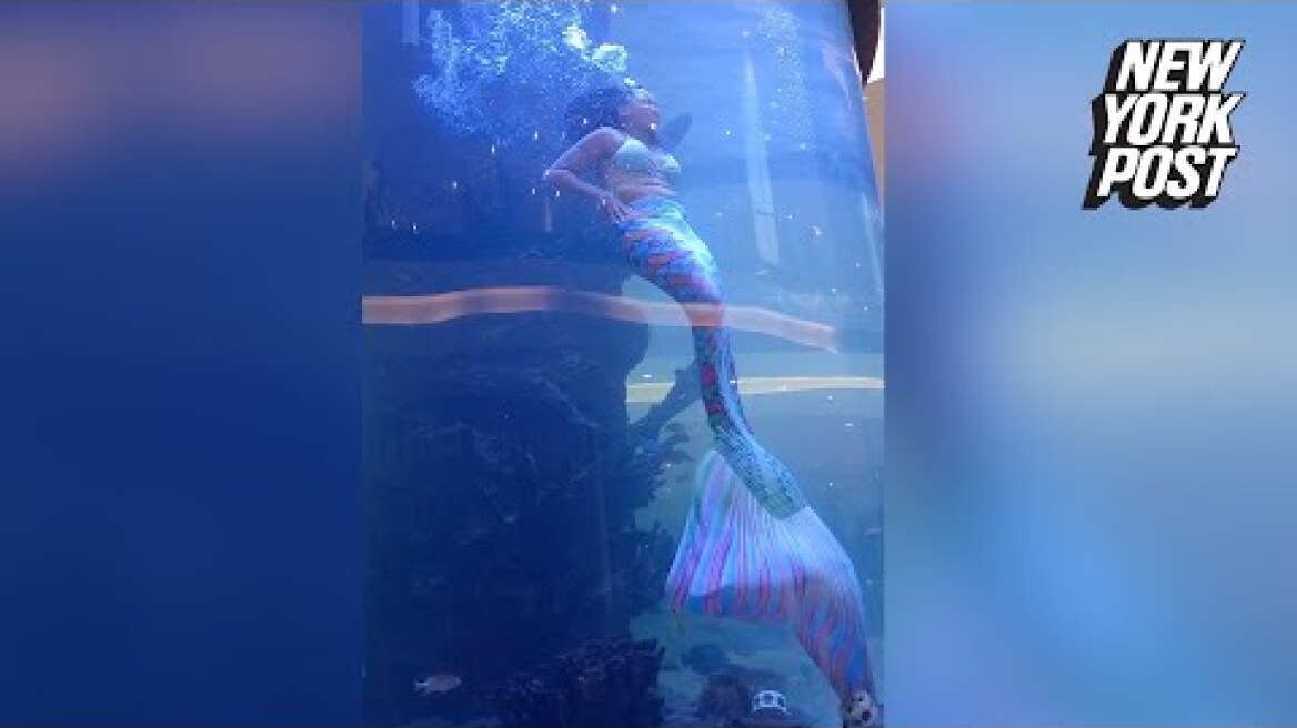 WATCH: Scary moment mermaid's tail gets caught on reef