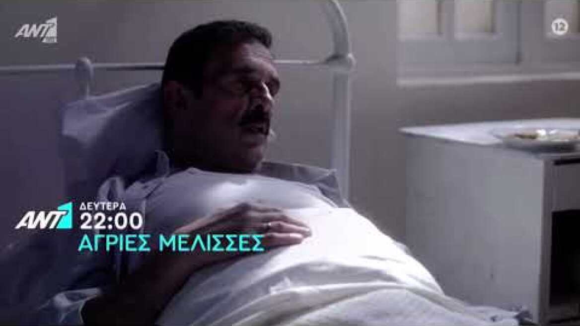 Άγριες Μέλισσες Trailer Δευτέρα 31/5/21