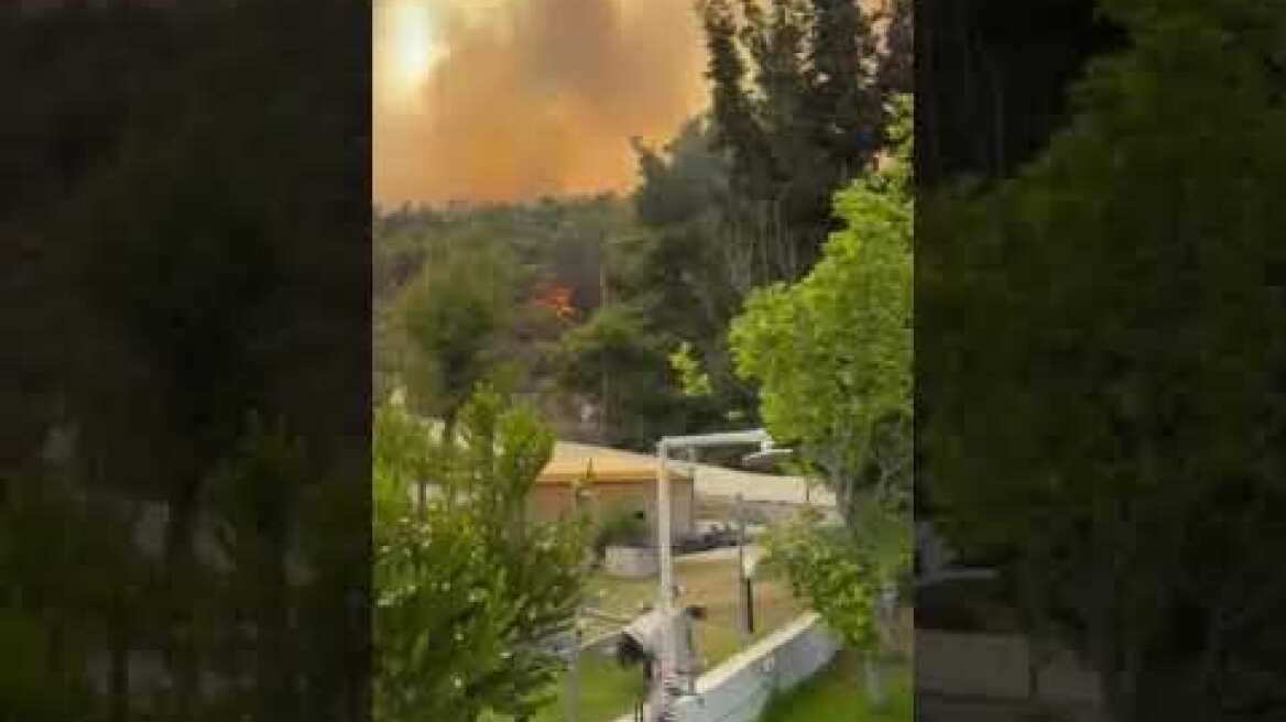 Φωτιά στη Βουρβουρού Χαλκιδικής (1)