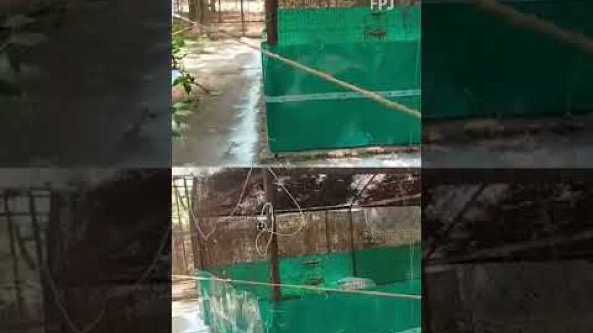 A video Of Arif Khan Visiting The Bird In Kanpur Went Viral: The sarus is seen jumping in excitement