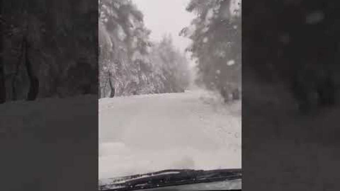 Η Μήδεια στην βόρεια Εύβοια