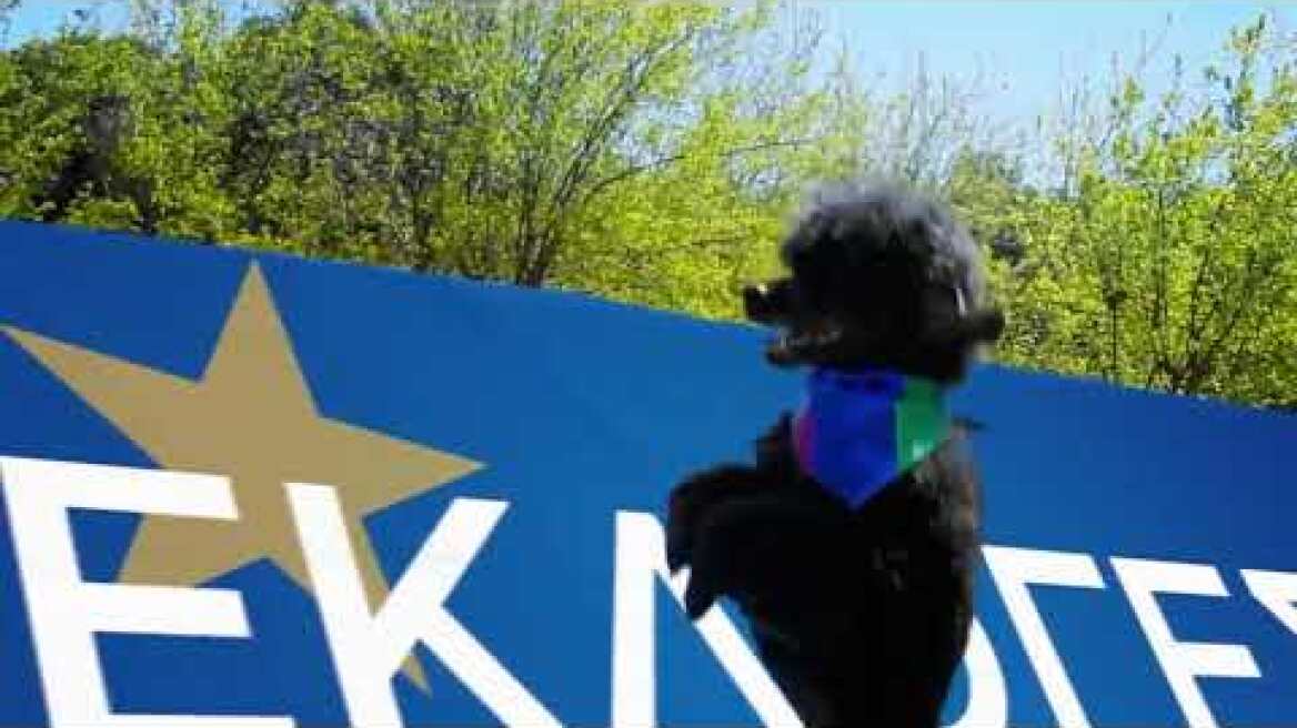 ΑΝΕΞΑΡΤΗΤΟΙ ΕΛΛΗΝΕΣ   ΕΥΡΩΕΚΛΟΓΕΣ 2019 TV Spot