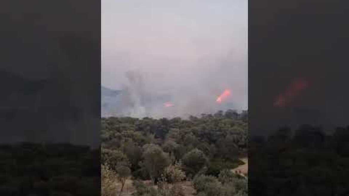 Παλαιά Φώκαια (4)