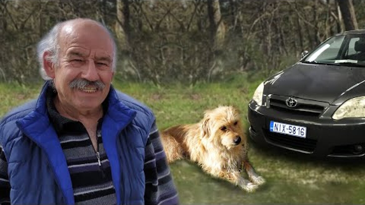 ΣΕΡΒΙΑ ΚΟΖΑΝΗΣ: ΑΓΩΝΙΑ ΓΙΑ ΤΗ ΝΕΑ ΠΕΡΙΕΡΓΗ  ΕΞΑΦΑΝΙΣΗ ΟΙΚΟΓΕΝΕΙΑΡΧΗ…