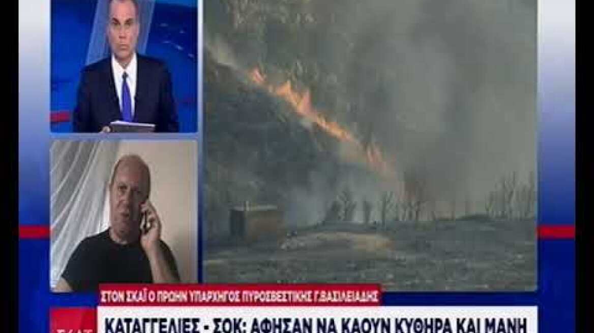 Βασιλειάδης Δηλώσεις