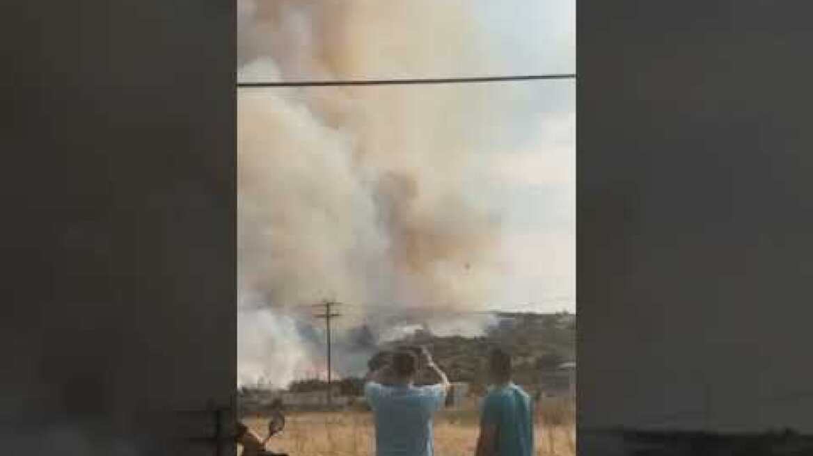 Φωτιά στον Δοκό Χαλκίδας