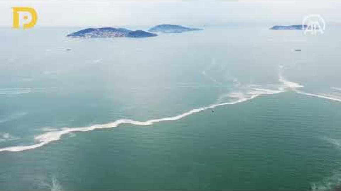 Marmara Denizi için korkutan deniz salyası açıklaması