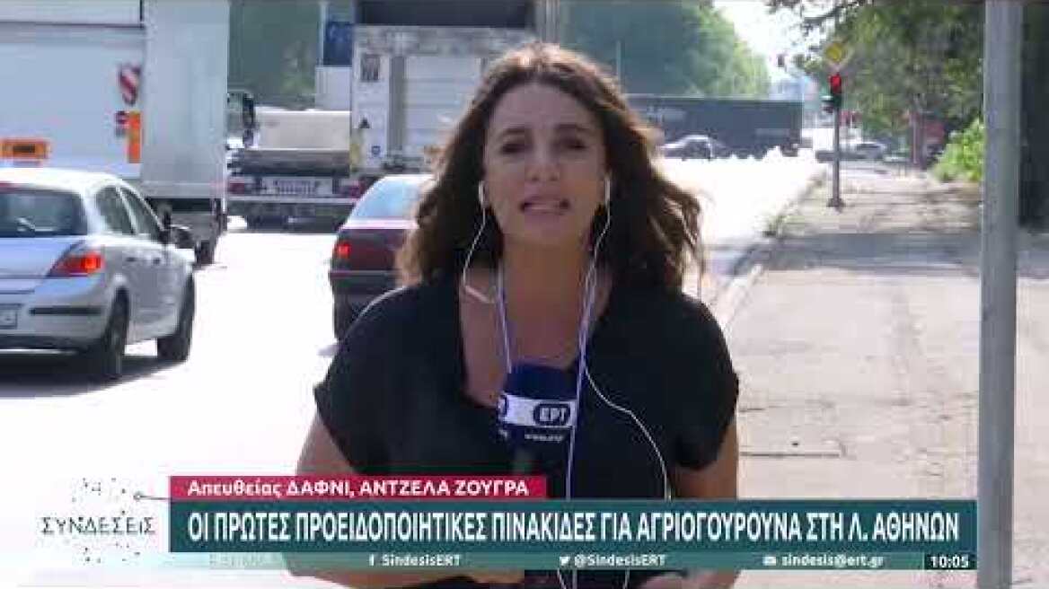 Οι πρώτες προειδοποιητικές πινακίδες για αγριογούρουνα στη Λ. Αθηνών | 24/8/22 | ΕΡΤ