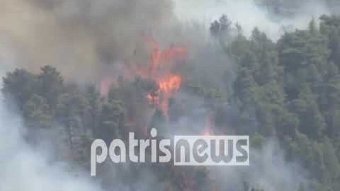 Φωτιά Γορτυνίας: Η μάχη με το μεγάλο μέτωπο που πέρασε από την Ηλεία συνεχίζεται-