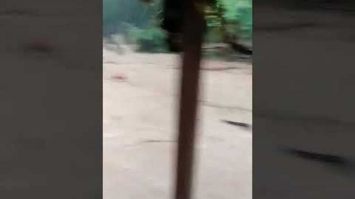 Πλημμύρα σε ιχθυοτροφείο στην Καρδίτσα