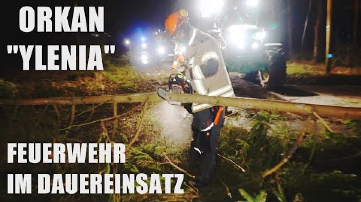 Sturmtief "Ylenia" lässt unzählige Bäume umstürzen - Feuerwehr im Dauereinsatz