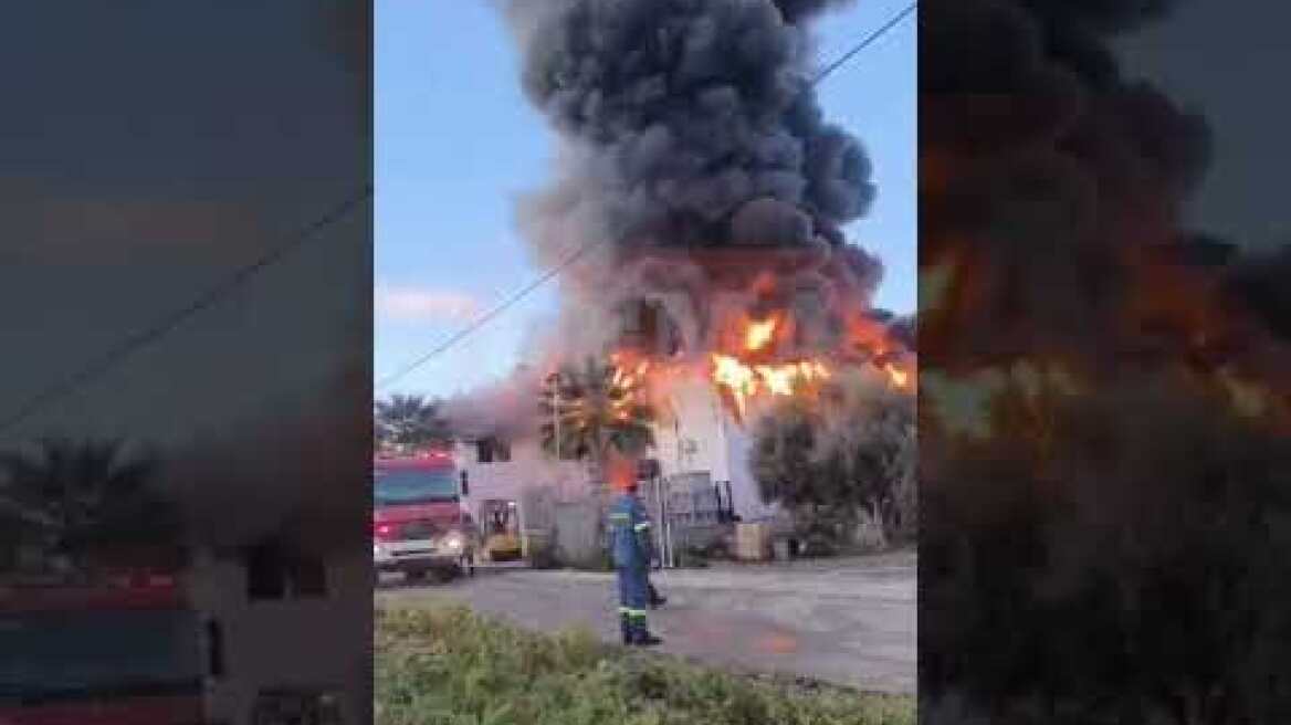 Φωτιά σε επιχείρηση στο Kορωπί (3)