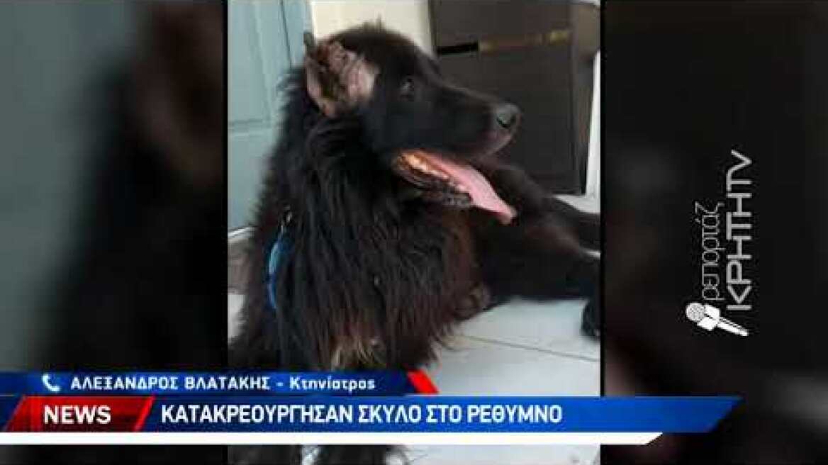 Δεν έχουν τέλος τα περιστατικά κακοποίηση σκύλων