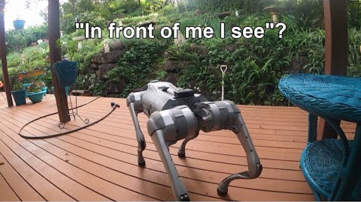 Benben dog AI describes what it sees 😮 (Unitree Go 2 Pro)