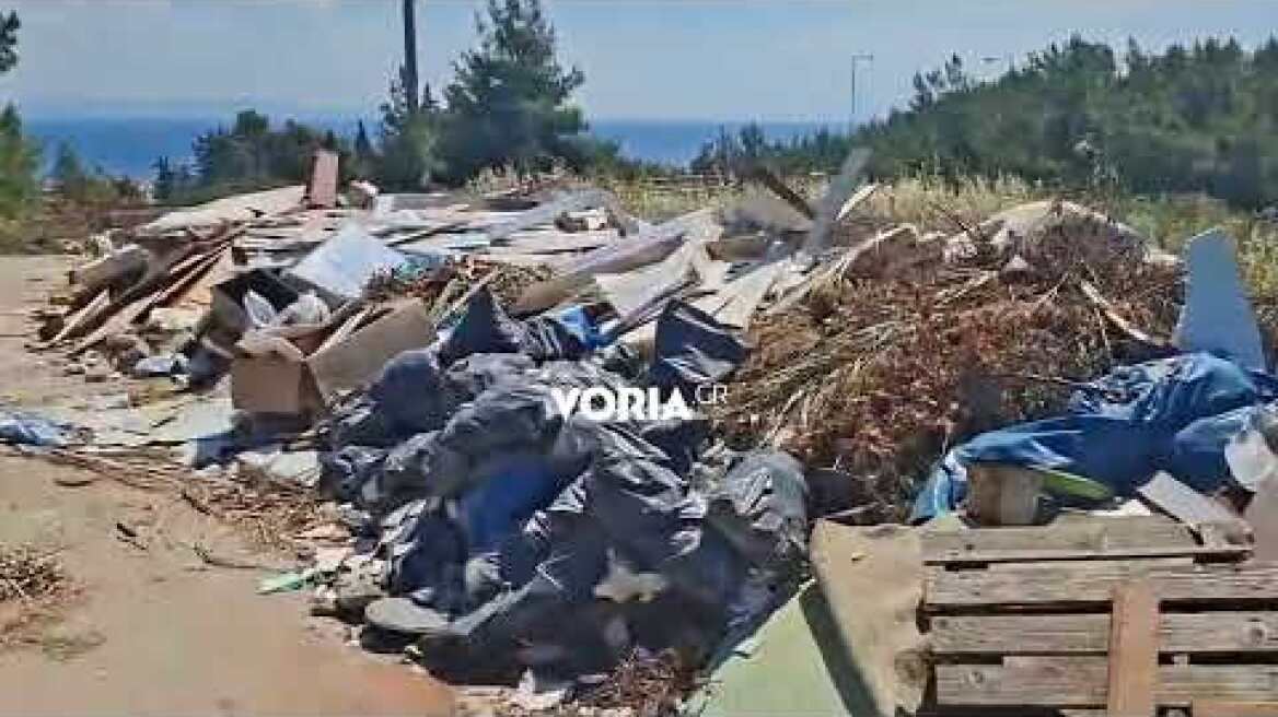Χαλκιδική: Τεράστιος κι επικίνδυνος μπαζότοπος δίπλα στη γέφυρα της Ποτίδαιας και μέσα σε δάσος